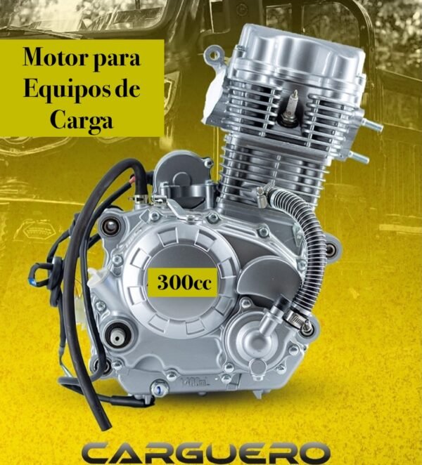 Motor para Equipos de Carga 300cc ( 3 Piezas)